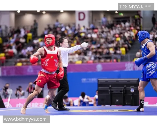 全运会|功夫散打收官 五场决赛河南斩获三金